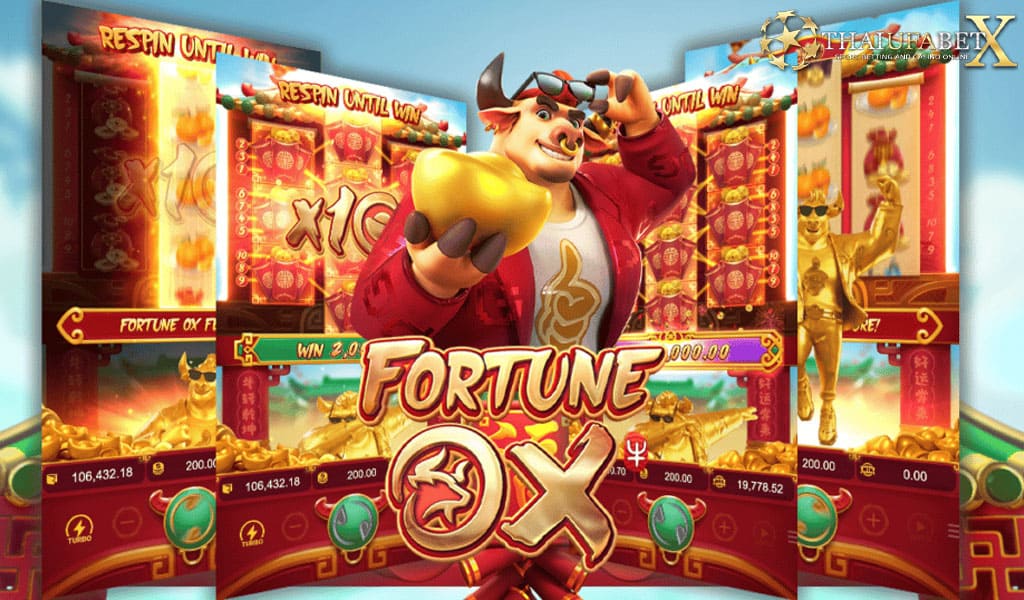 Fortune XO